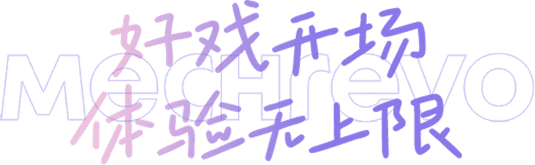 性能数据脚注